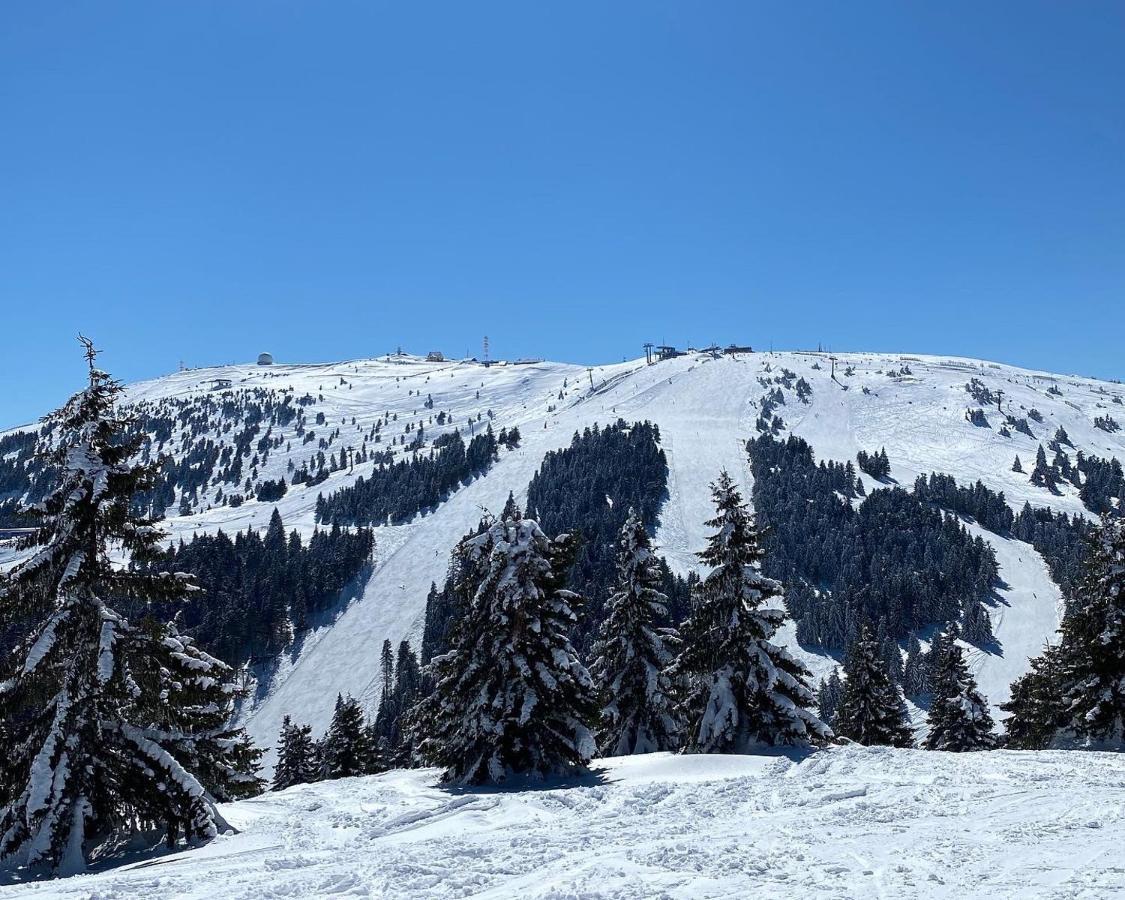 Ski&Spa Milmari L17 كوباونيك المظهر الخارجي الصورة