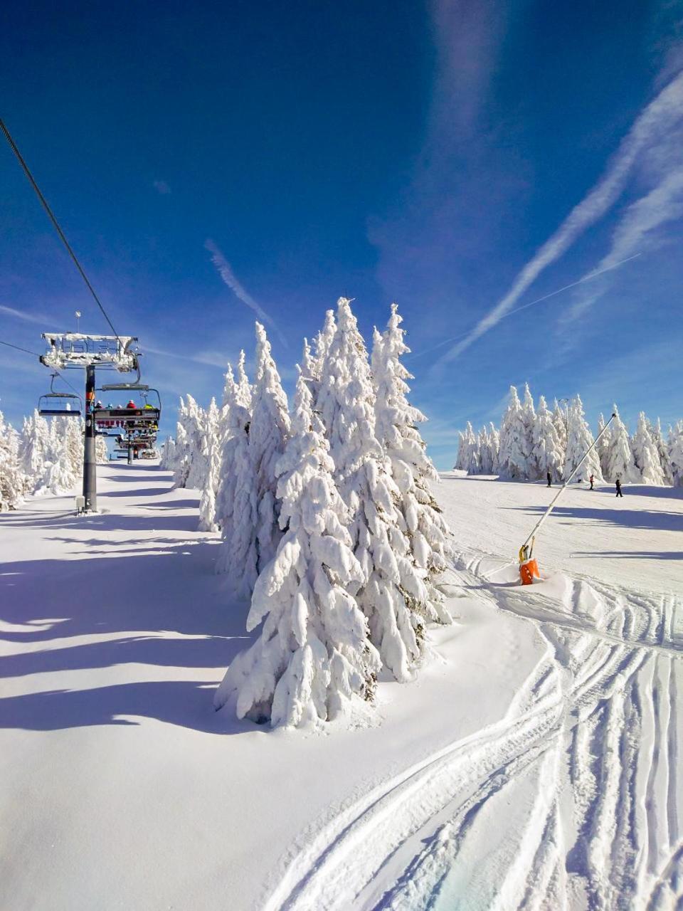 Ski&Spa Milmari L17 كوباونيك المظهر الخارجي الصورة